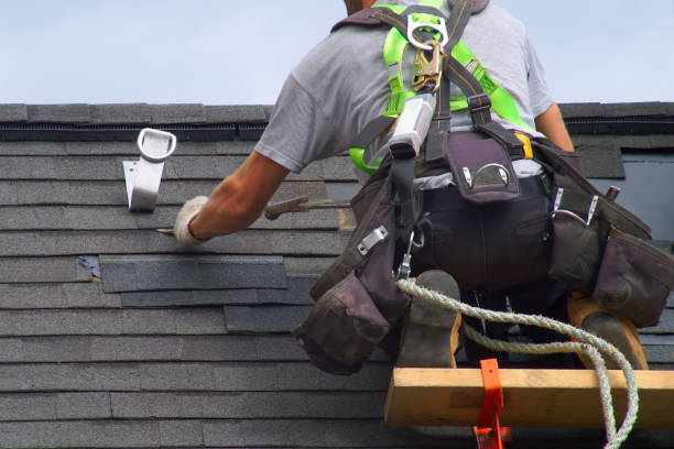 Best Roof Gutter Cleaning  in Lake City, SC